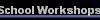  School Workshops 