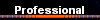  Professional 