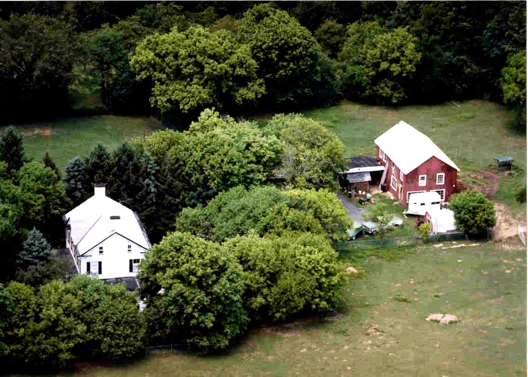 McCue's Horse and Chicken Farm